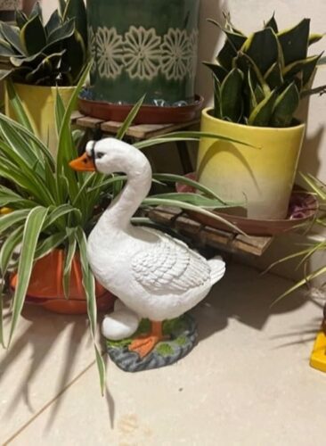 MurtiMall Duck Statue for Balcony and Garden Decoration - 1 feet (12 Inch) - White, Orange photo review