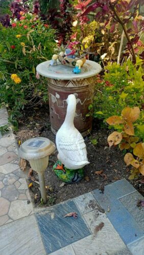 MurtiMall Duck Statue for Balcony and Garden Decoration - 1 feet (12 Inch) - White, Orange photo review