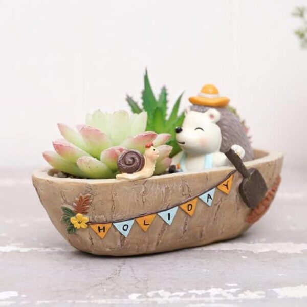 Discover the Perfect Boat with Hedgehog            Mini Planter for Your Home