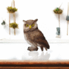 owl statue at home