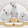 3 cute miniature rabbit figurines
