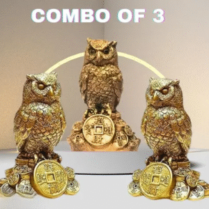 Feng Shui Owl Idol – A Symbol of Wisdom and Protection